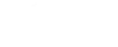 CTI Academy